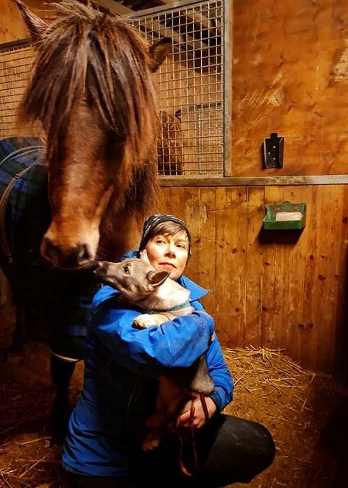 Mirja som nu heter Märta älskar hästar. Men det är tryggt i matte Lindas famn.