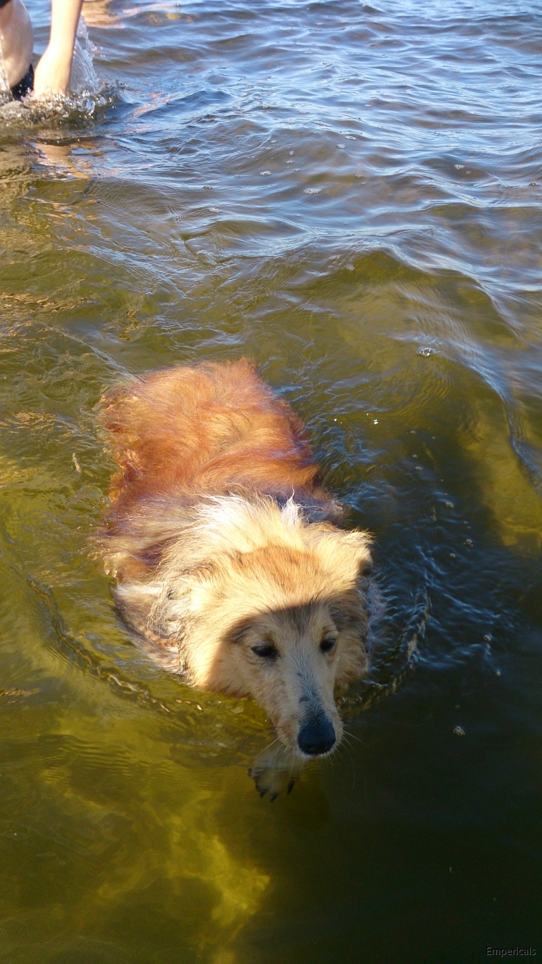 Leiah älskar och bada