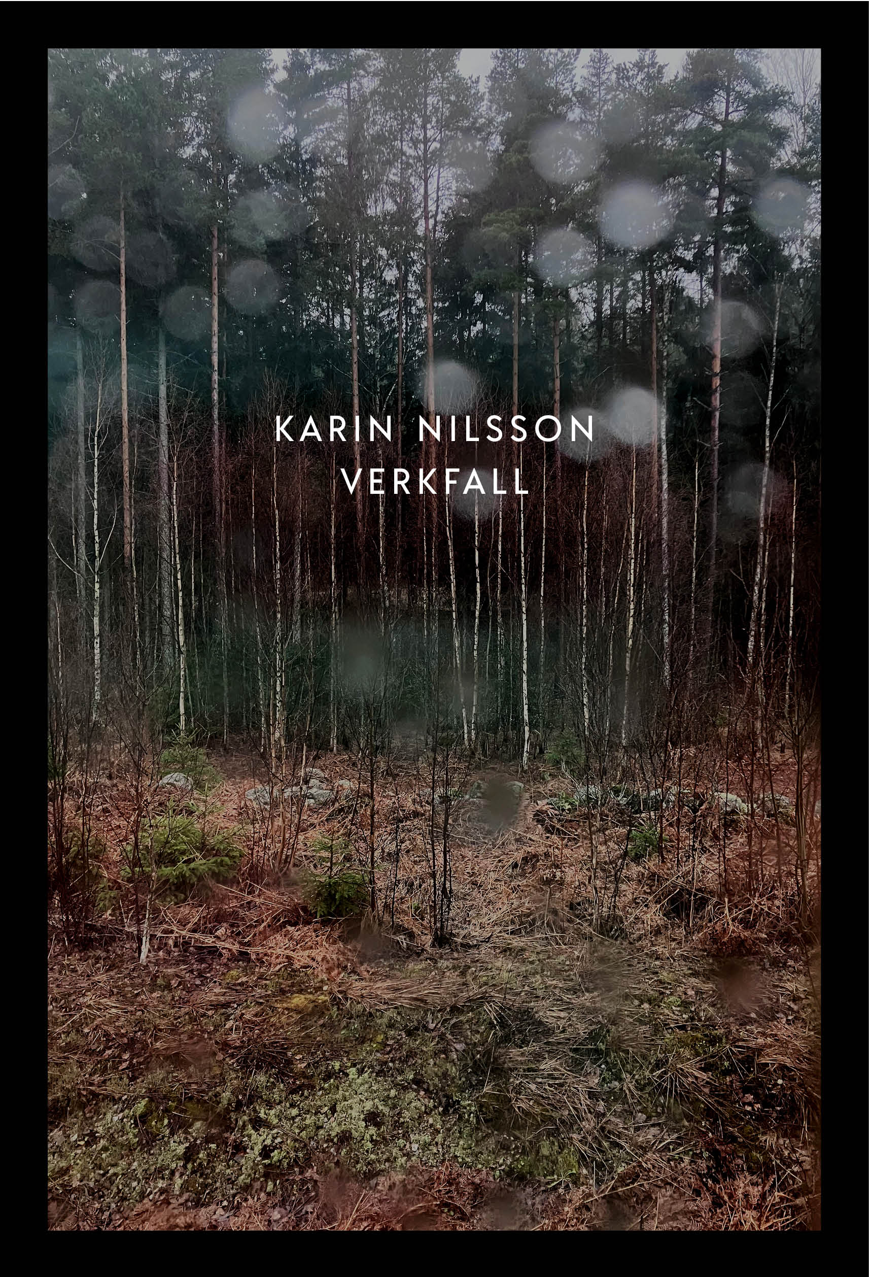 Karin Nilsson - Verkfall