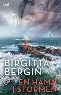 En hamn i stormen - Birgitta Bergin