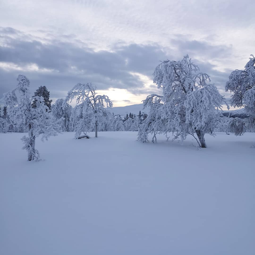 Funäsfjällen – se & göra i Funäsdalen på vintersäsong