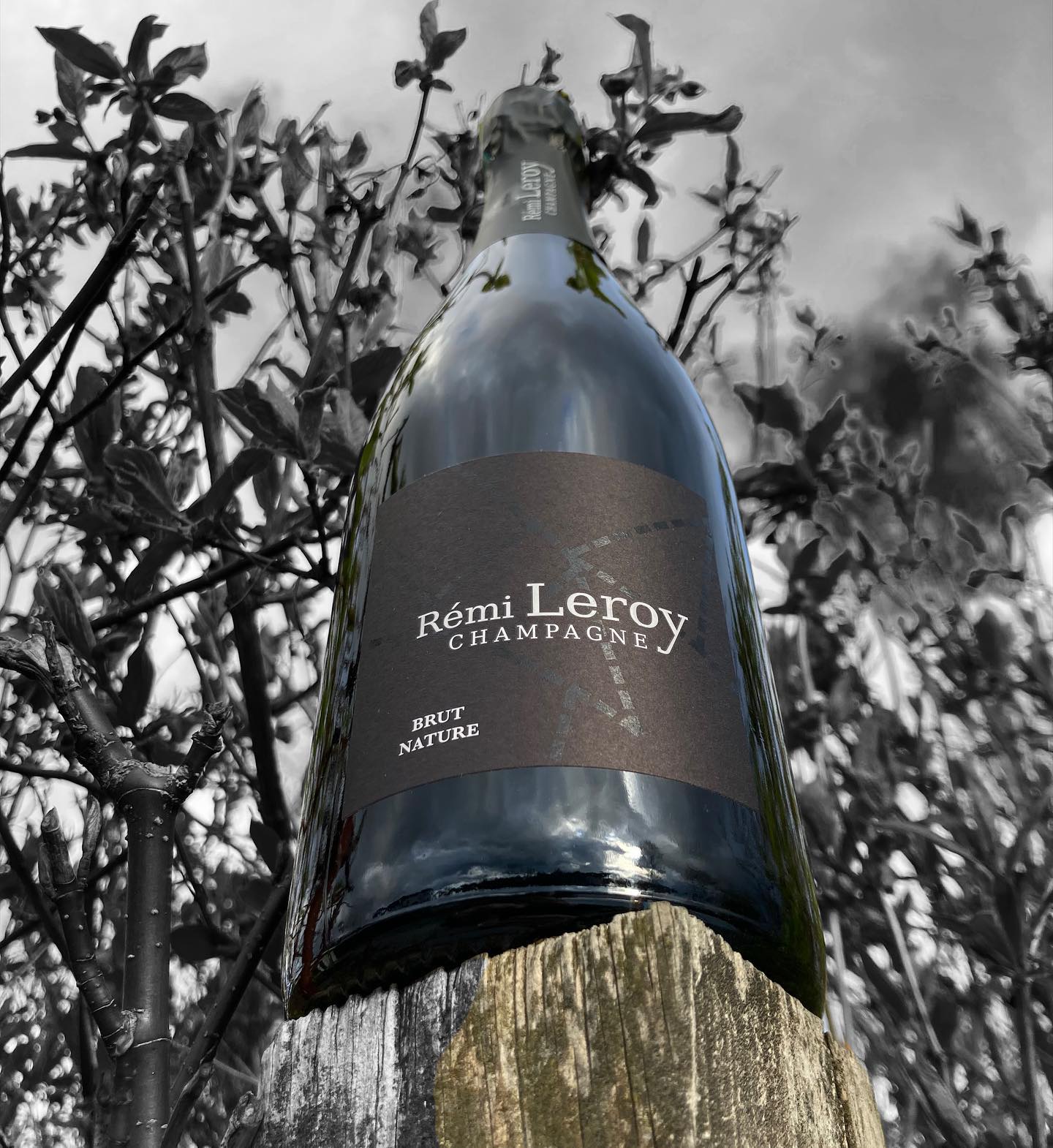 Champagne Rémi Leroy Brut Nature