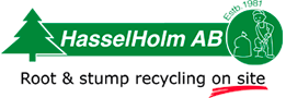 Hasselholm