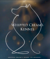 Whipped Cream's Kennel - Finnish Lapphund & Samoyed