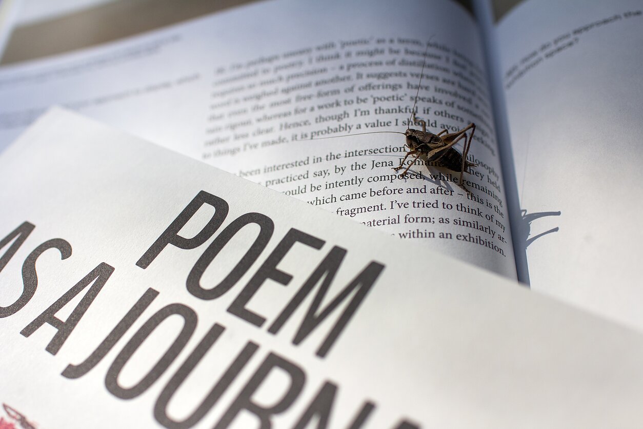 Naujasis „Poem as a Journal“ aiškinasi, kokią vietą mūsų gyvenime užima poezija