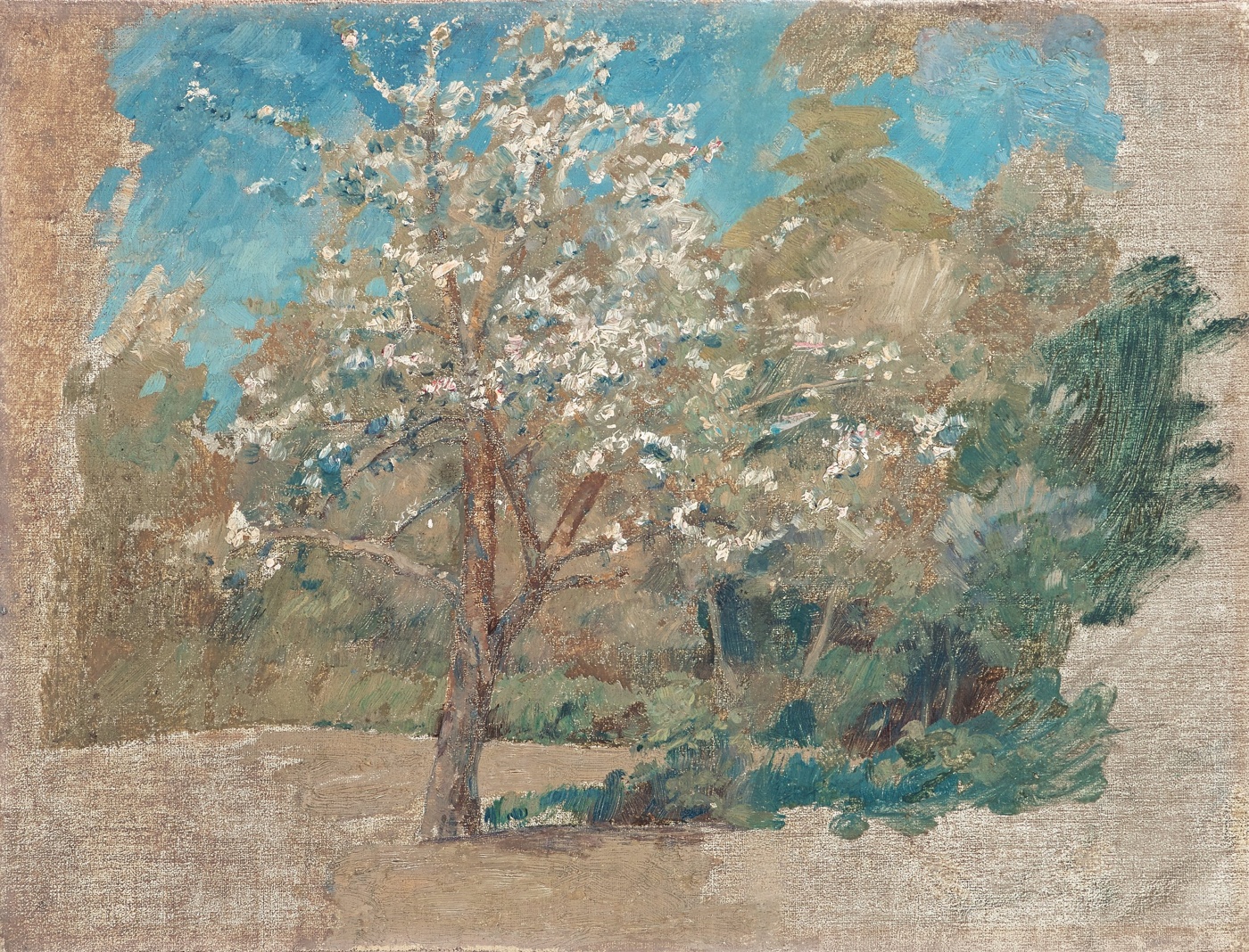 Blommande fruktträd, skiss, Bukowskis 1888