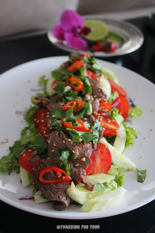 Spicy Thai Beef  Salad (26 February 2014)