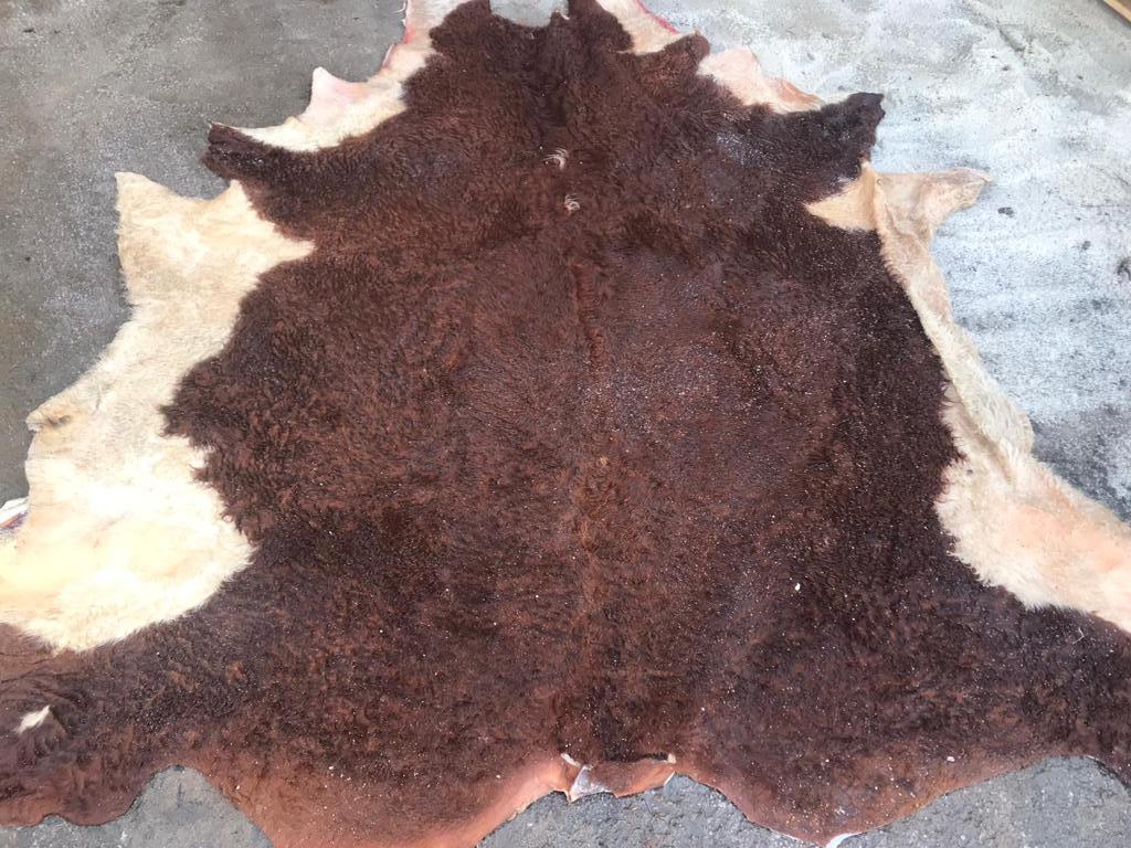 wet salted cattle hides