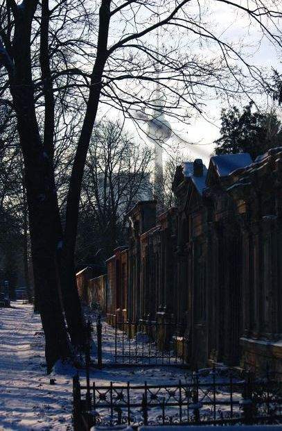 Ancient cemetery walls give shelter to nature