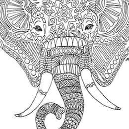 Coloring page - Animals