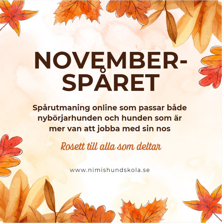 Novemberspåret