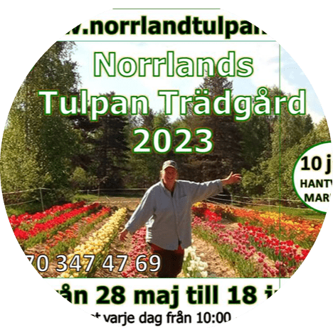 Presentkort/Tulpankort till Norrlands Tulpan Trädgård 2024