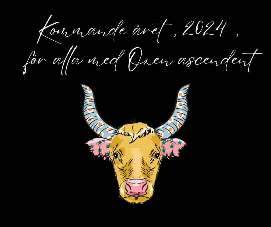 2024 ~ Välkommen till det nya året Oxen