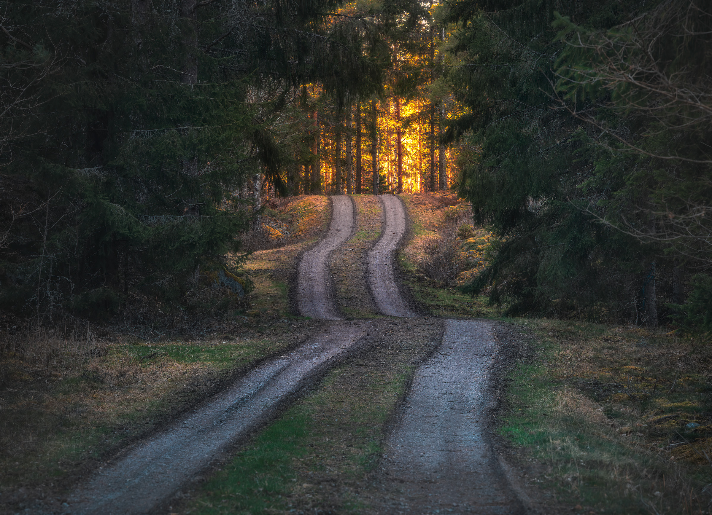 Grusväg i skogen Östergötland