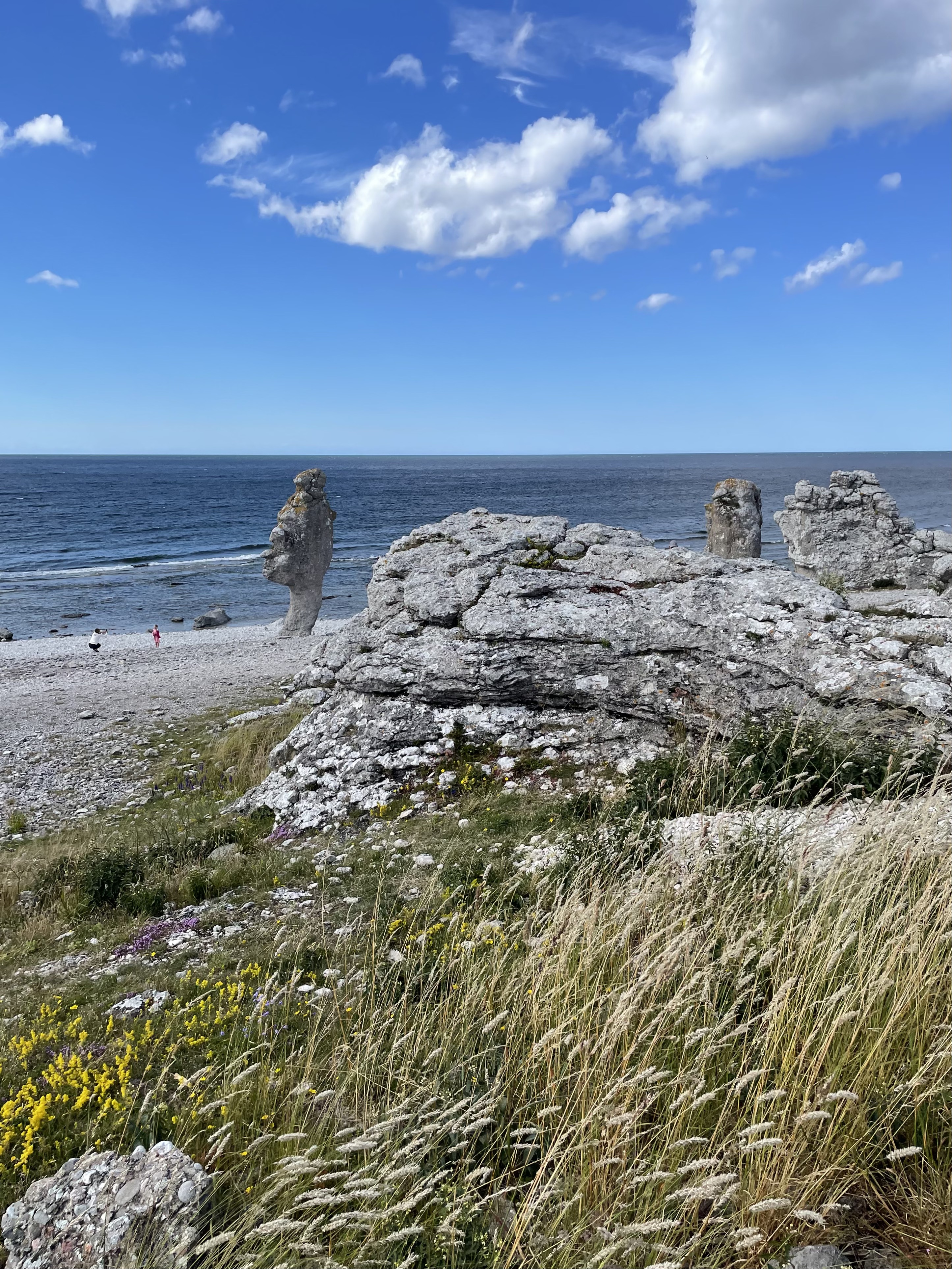 akvarellkurs gotland akvarellkurser enköping uppsala