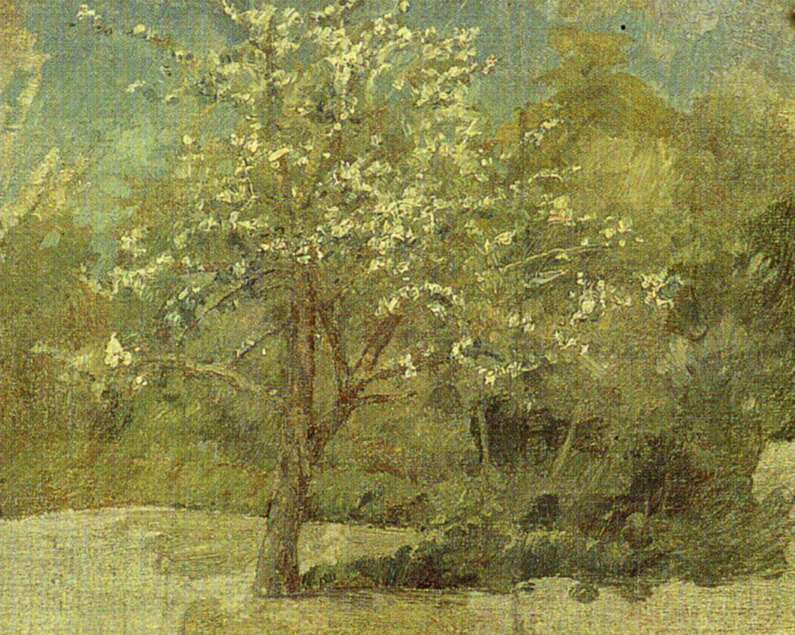 Äppelträd, skiss 1886