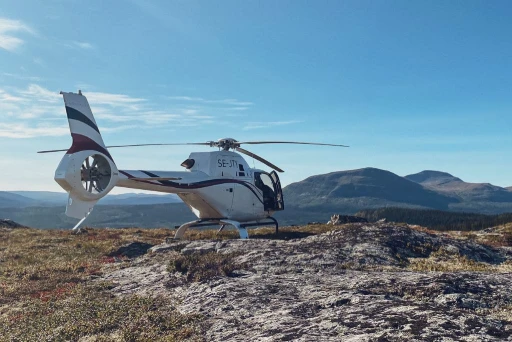 Inventeringar med helikopter