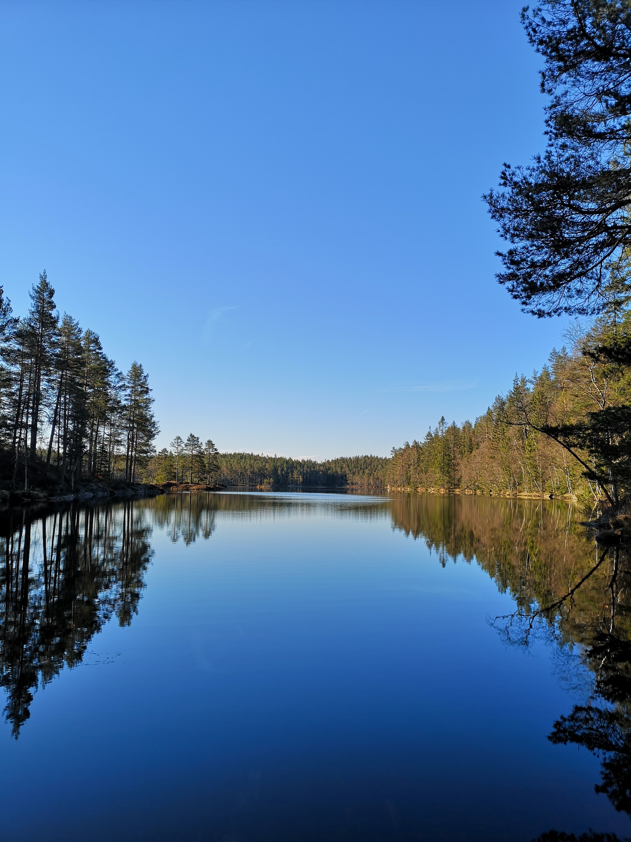 Tresticklans nationalpark i Dalsland - bland tallskog & spricksjöar