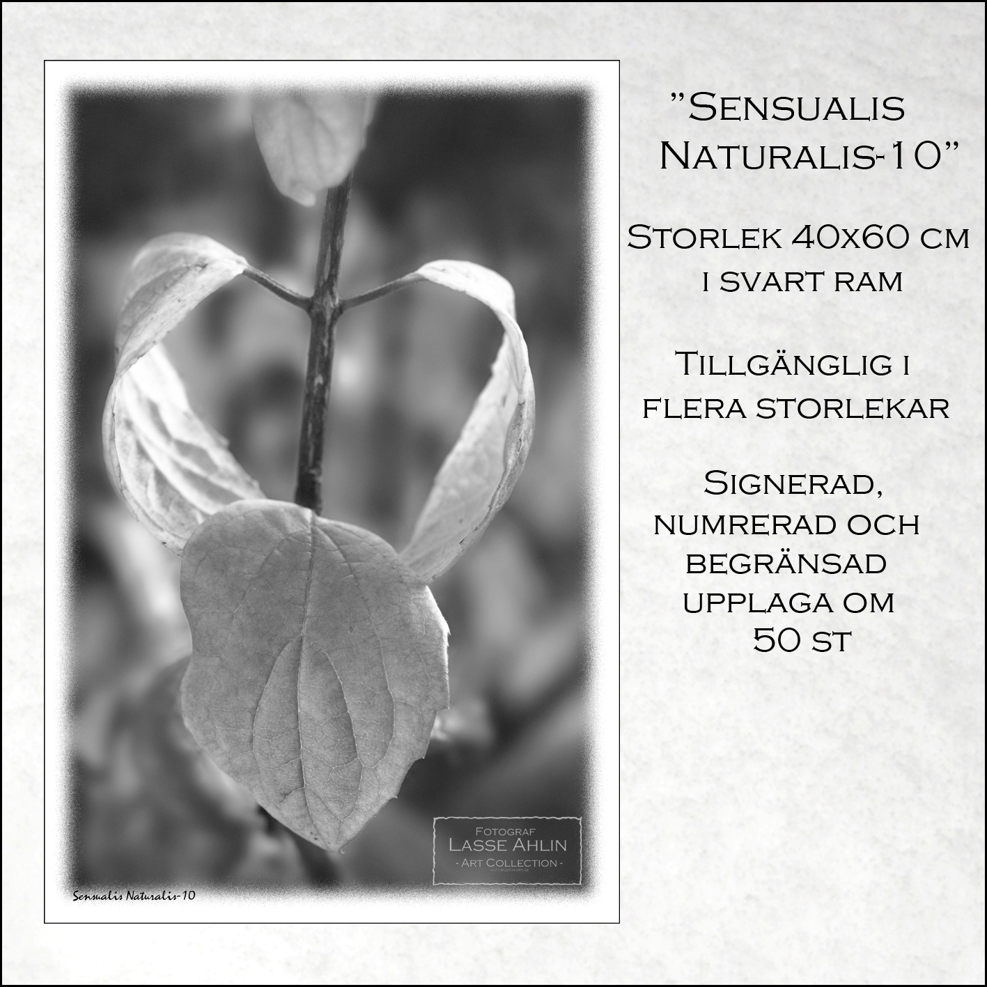 Sensualis Naturalis -10