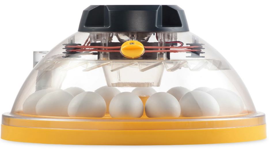 Äggkläckningsmaskin Brinsea Maxi II Advance