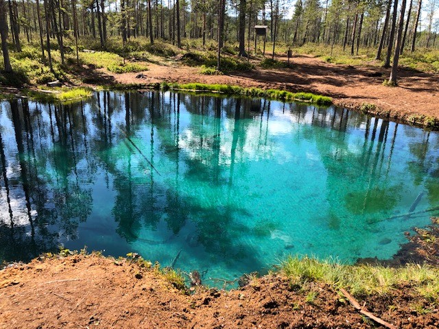 Ett trevligt utflyftsmål var grodkällan som vi besökte.