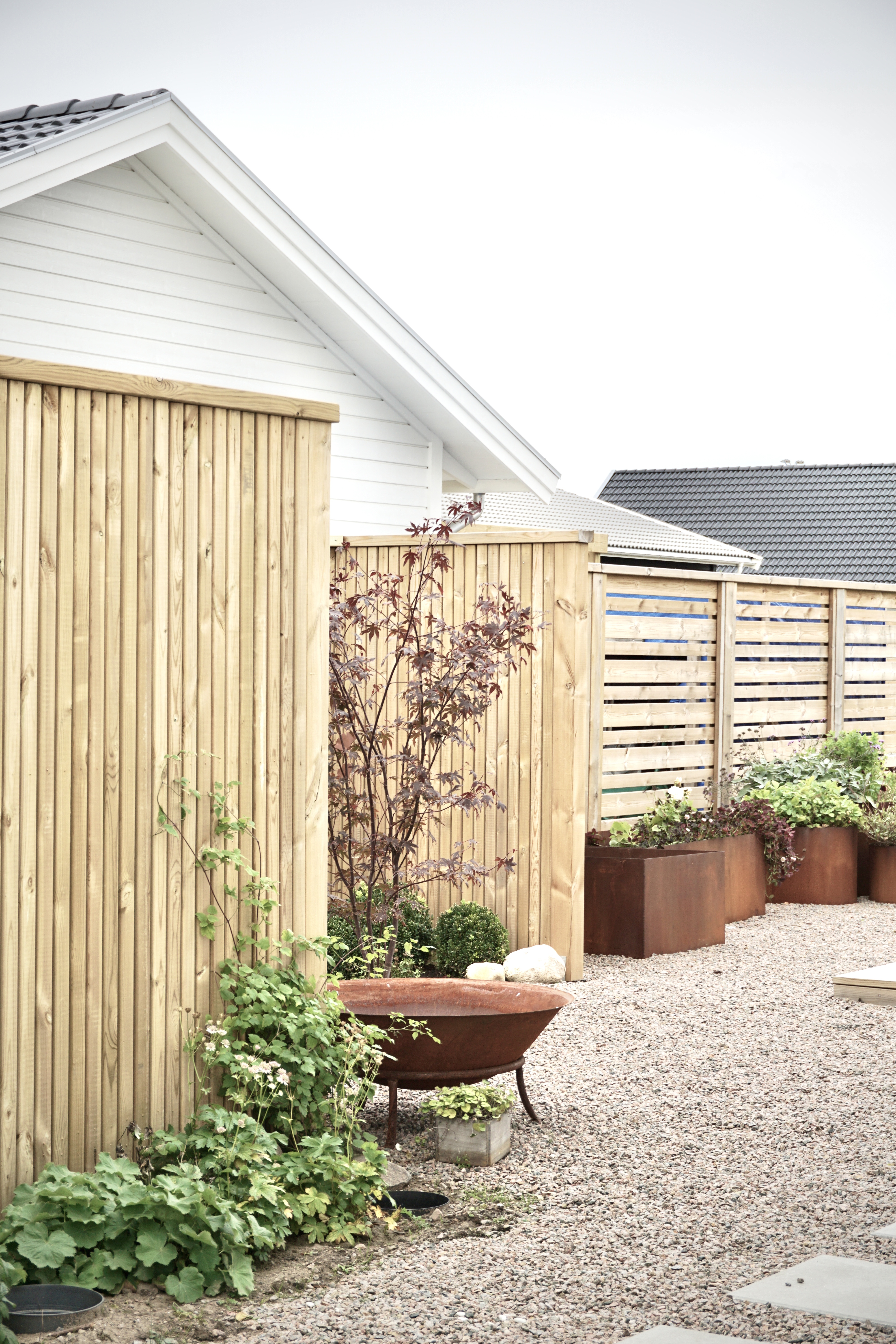 Lummig växtlighet med japansk lönn, buxbom, hosta, klätterhortensia