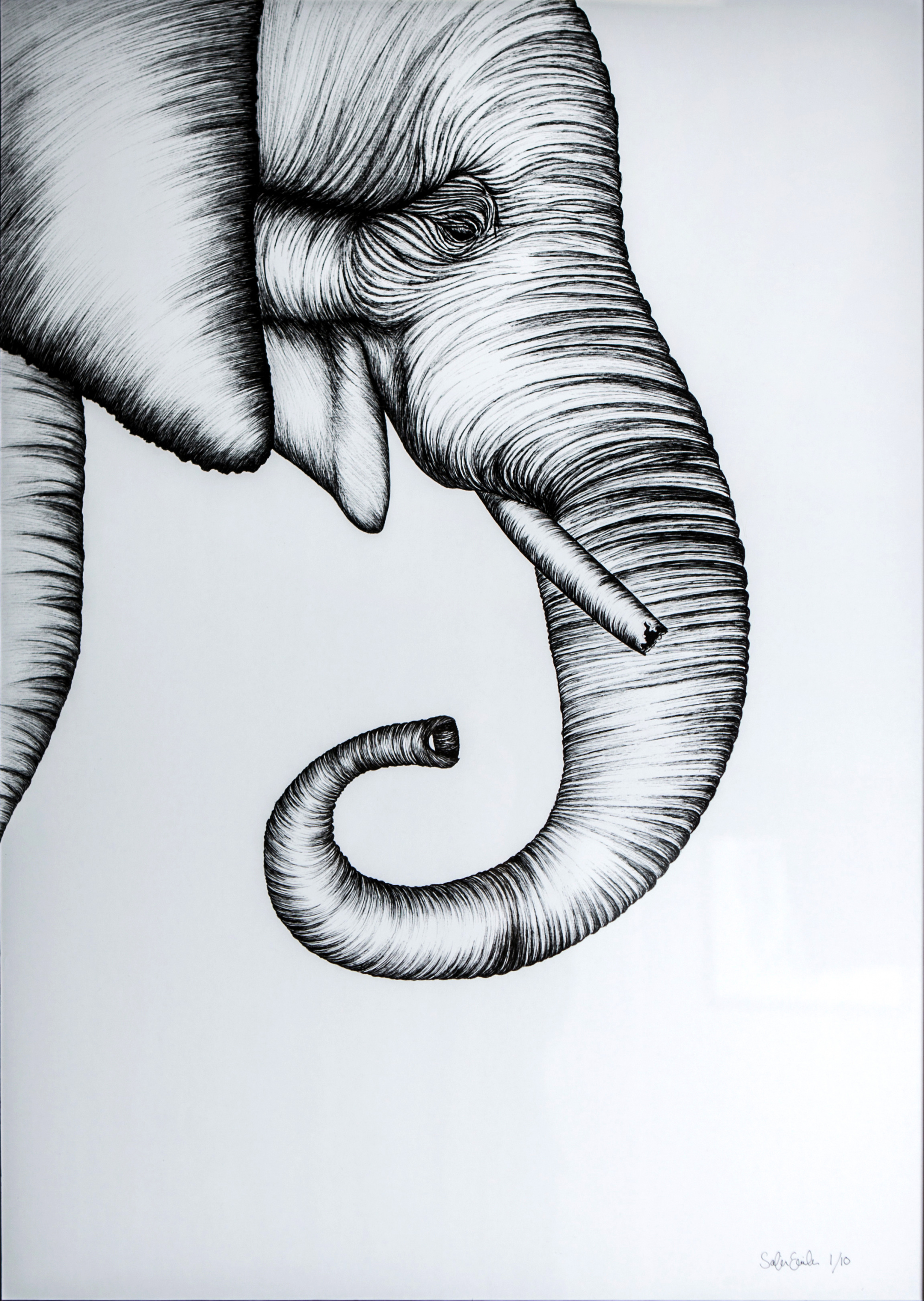 Animals Konsttryck "elephant"