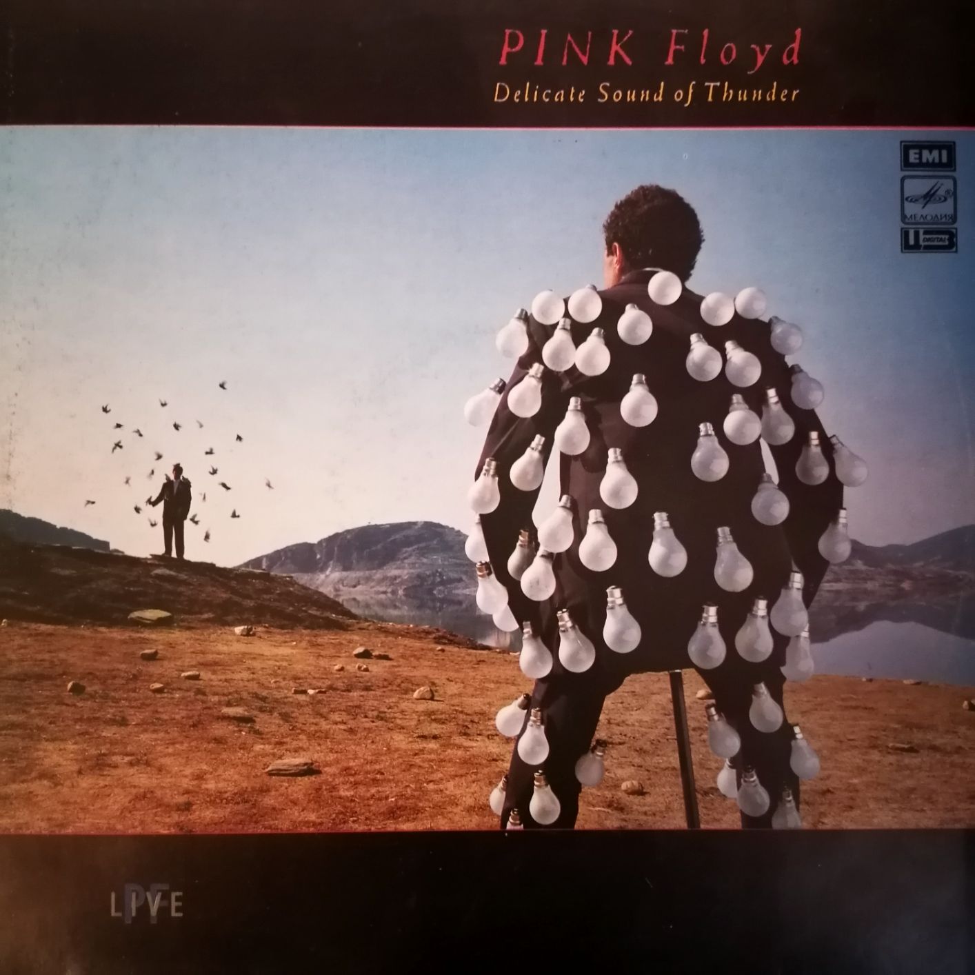 Pink Floyd: Delicate Sound of Thunder hyvä kuntoinen hinta 28 euroa.