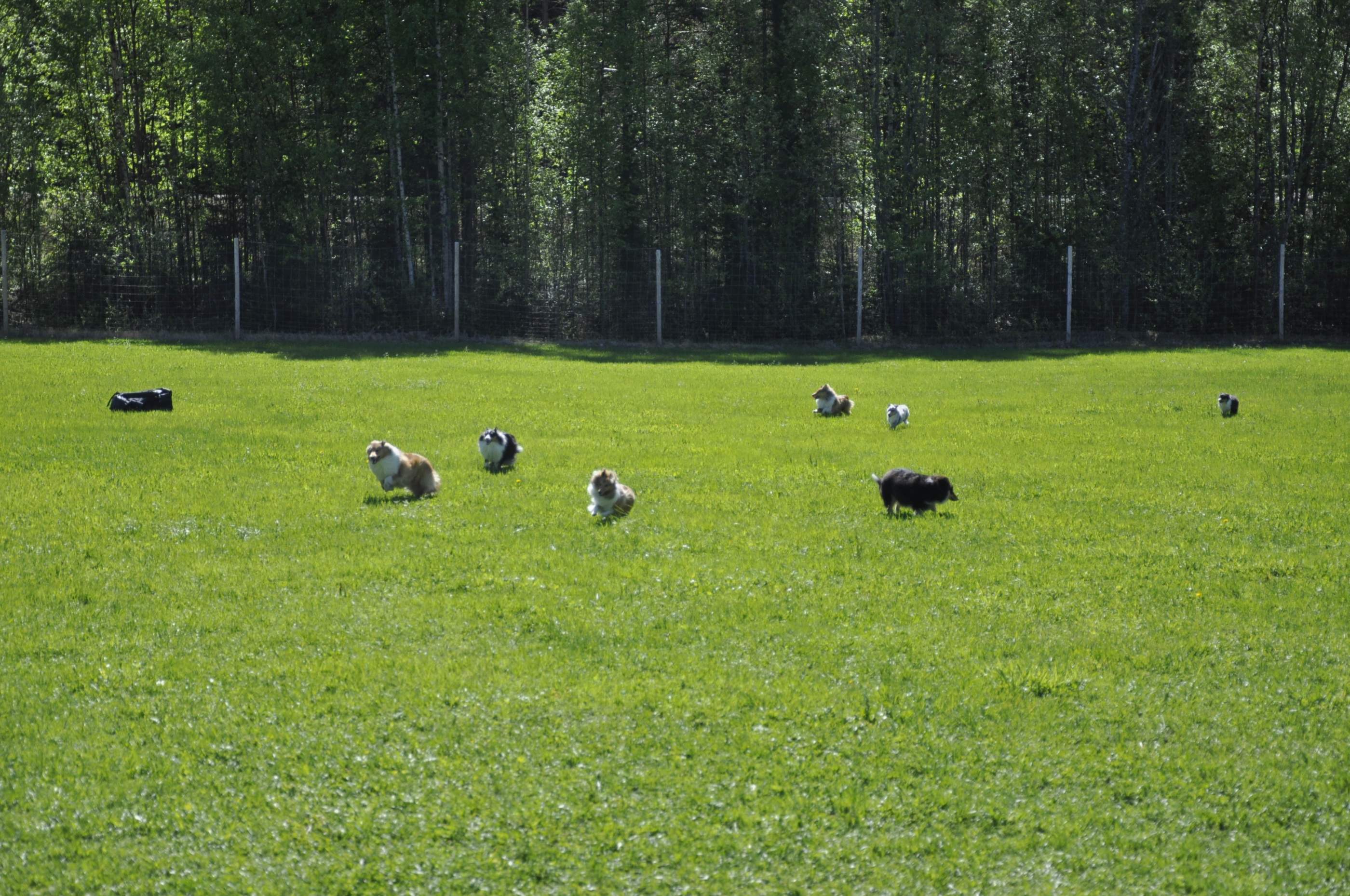 Här är vi och busar.