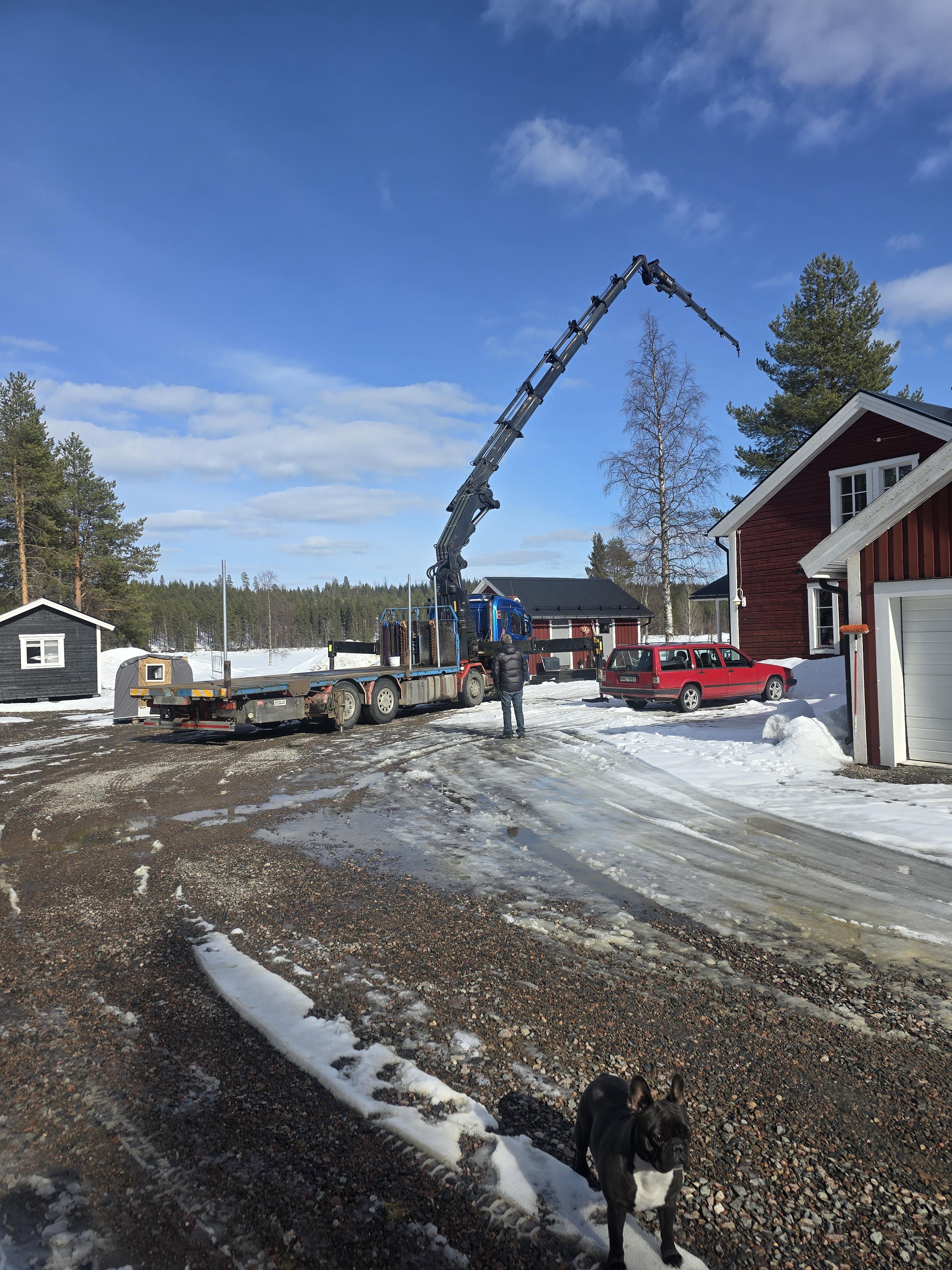 Nedtagning av svåra träd