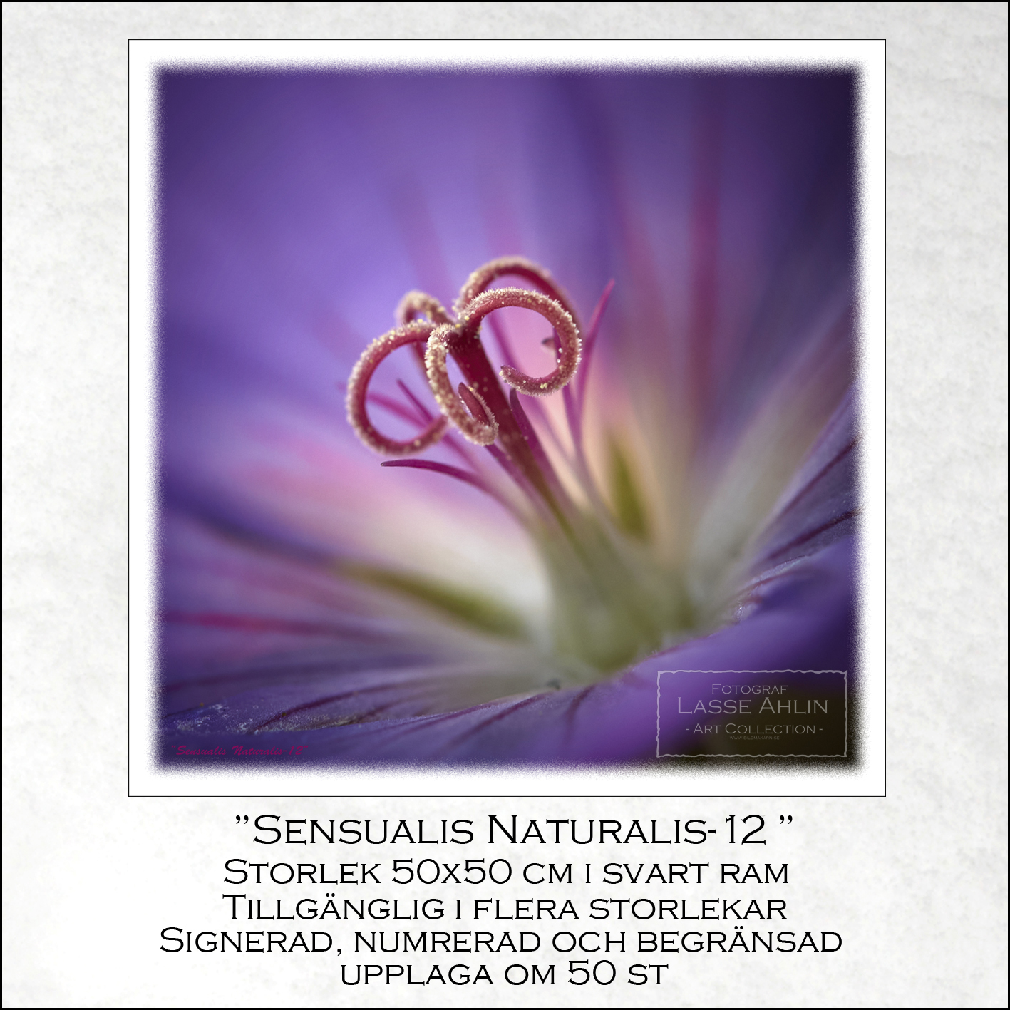 Sensualis Naturalis -12