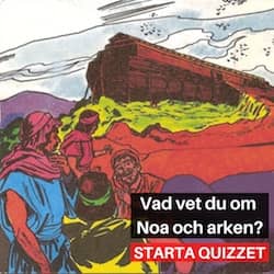 Quiz - Noa