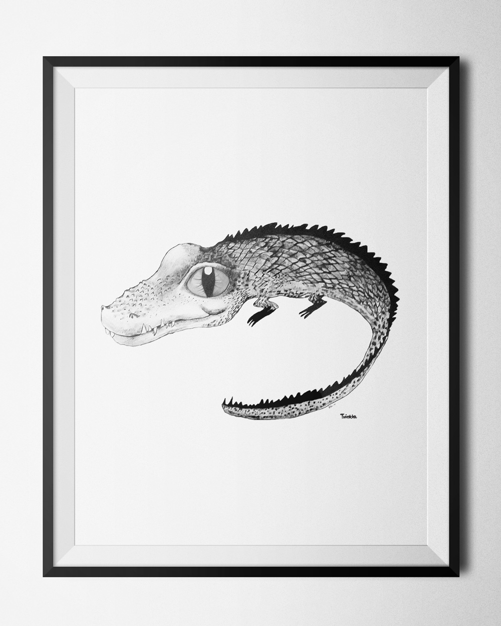 Krokodil poster