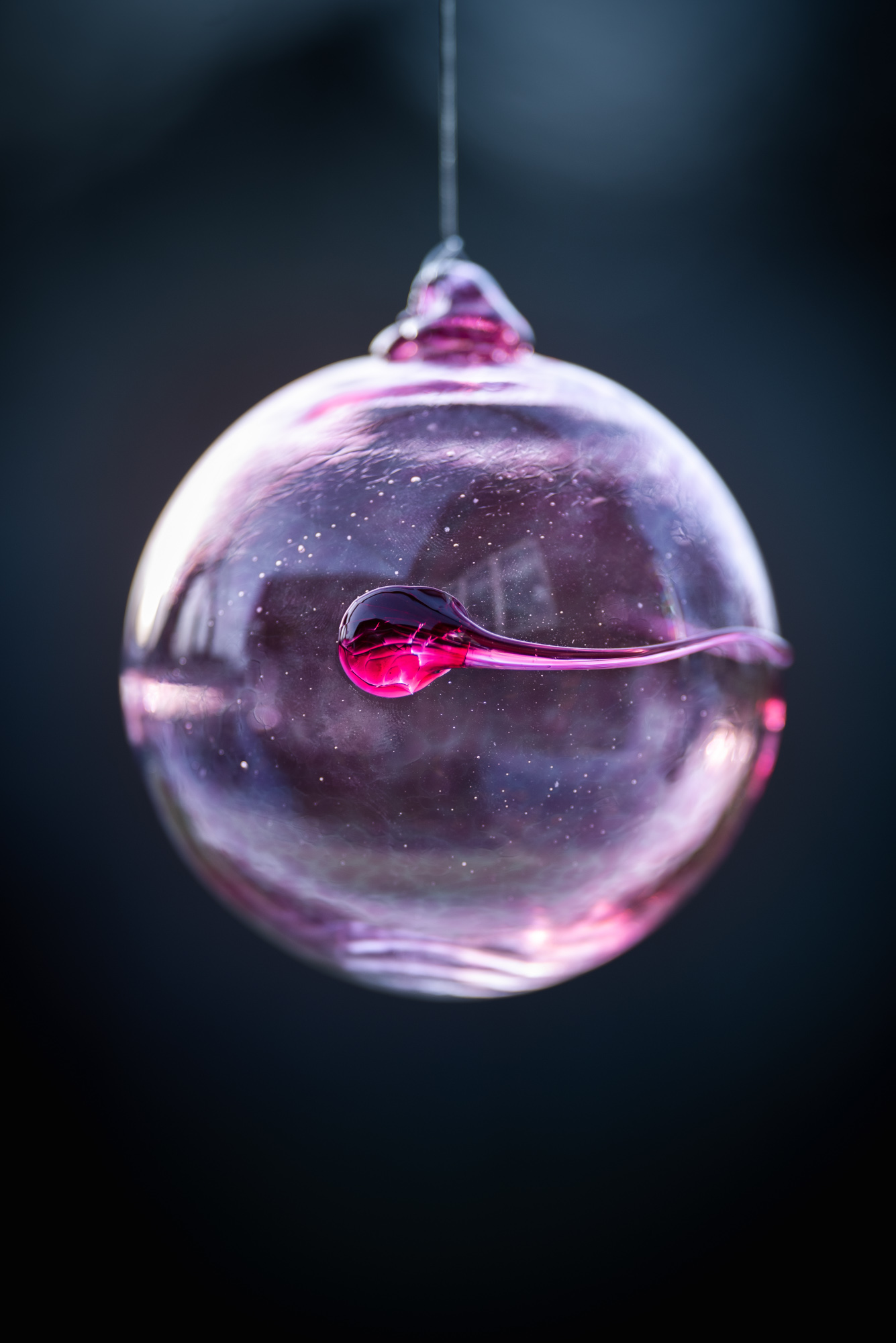 Purple Egg with Sperm