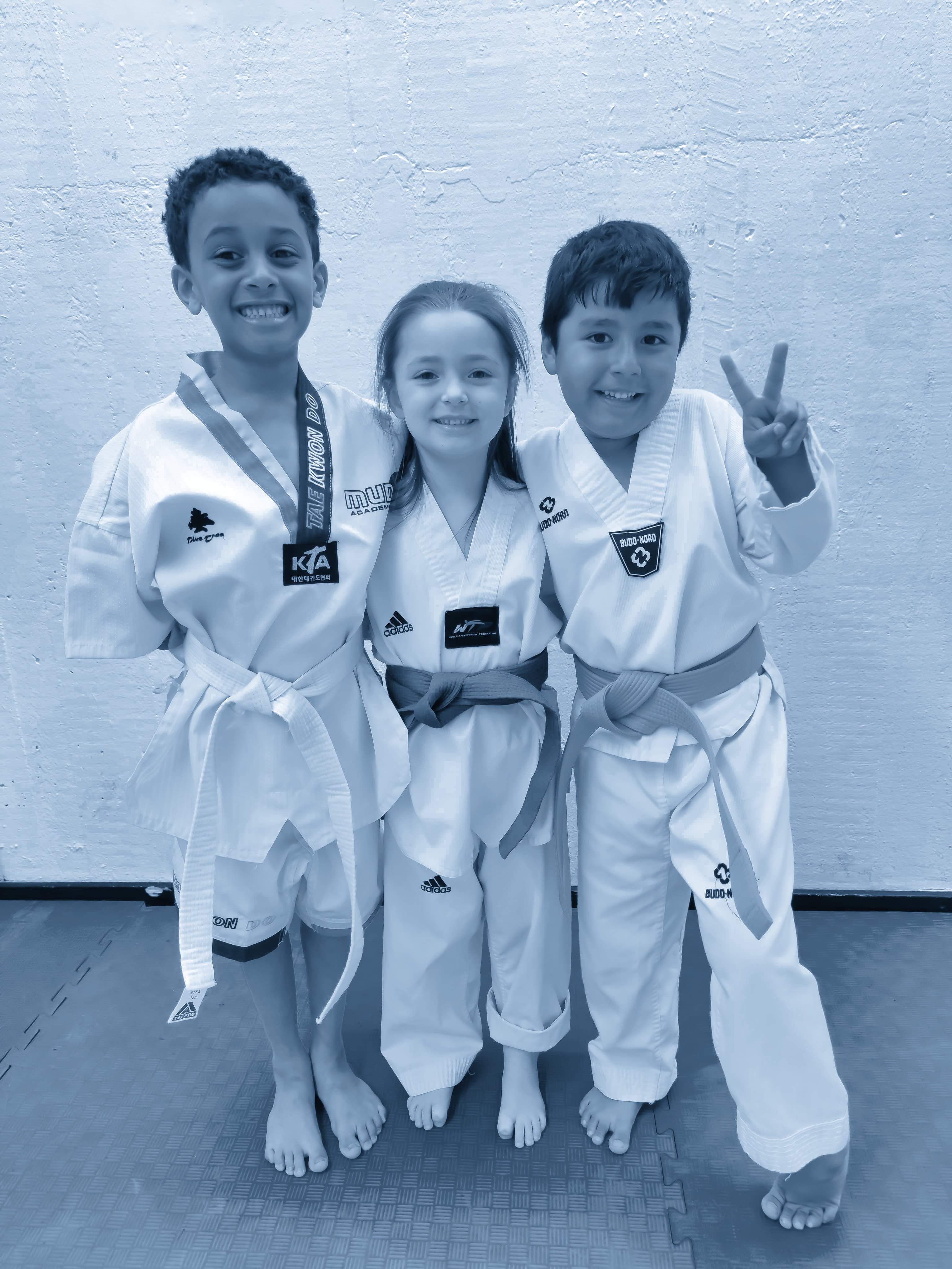 Taekwondo Barn