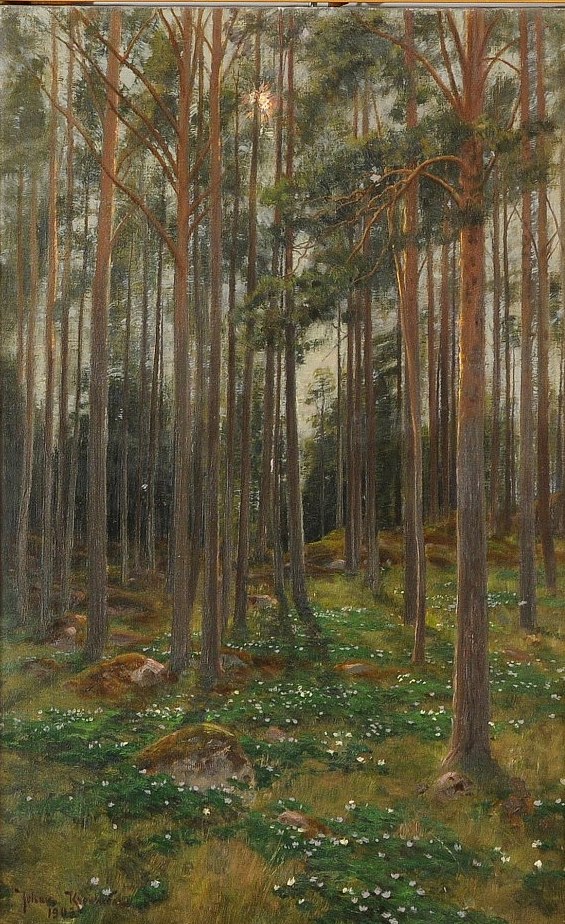 Skog 1903, Norrköpings auktionsverk