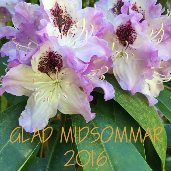 Glad Midsommar! (22 juni 2016 )