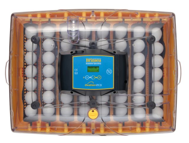 Äggkläckningsmaskin Brinsea Ovation 56 Eco