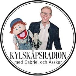 Kylskåpsradion