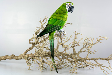 DEK Papegoja sittande grön