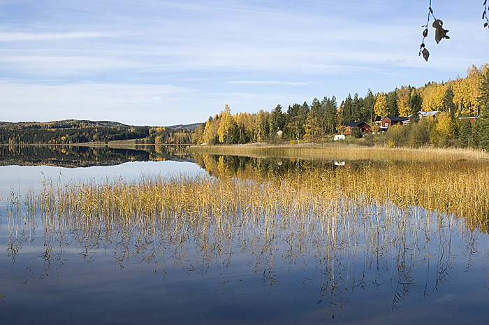 Utsikt från Vallbergsviken
© Erik Olsson