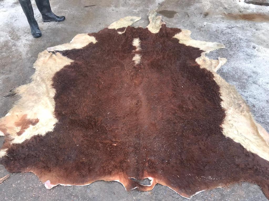 cattle hides buyers