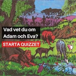 Quiz - Skapelsen