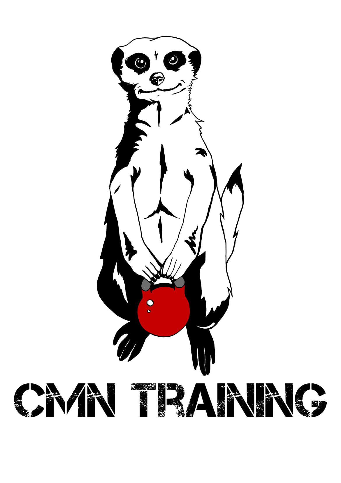 CMN Training