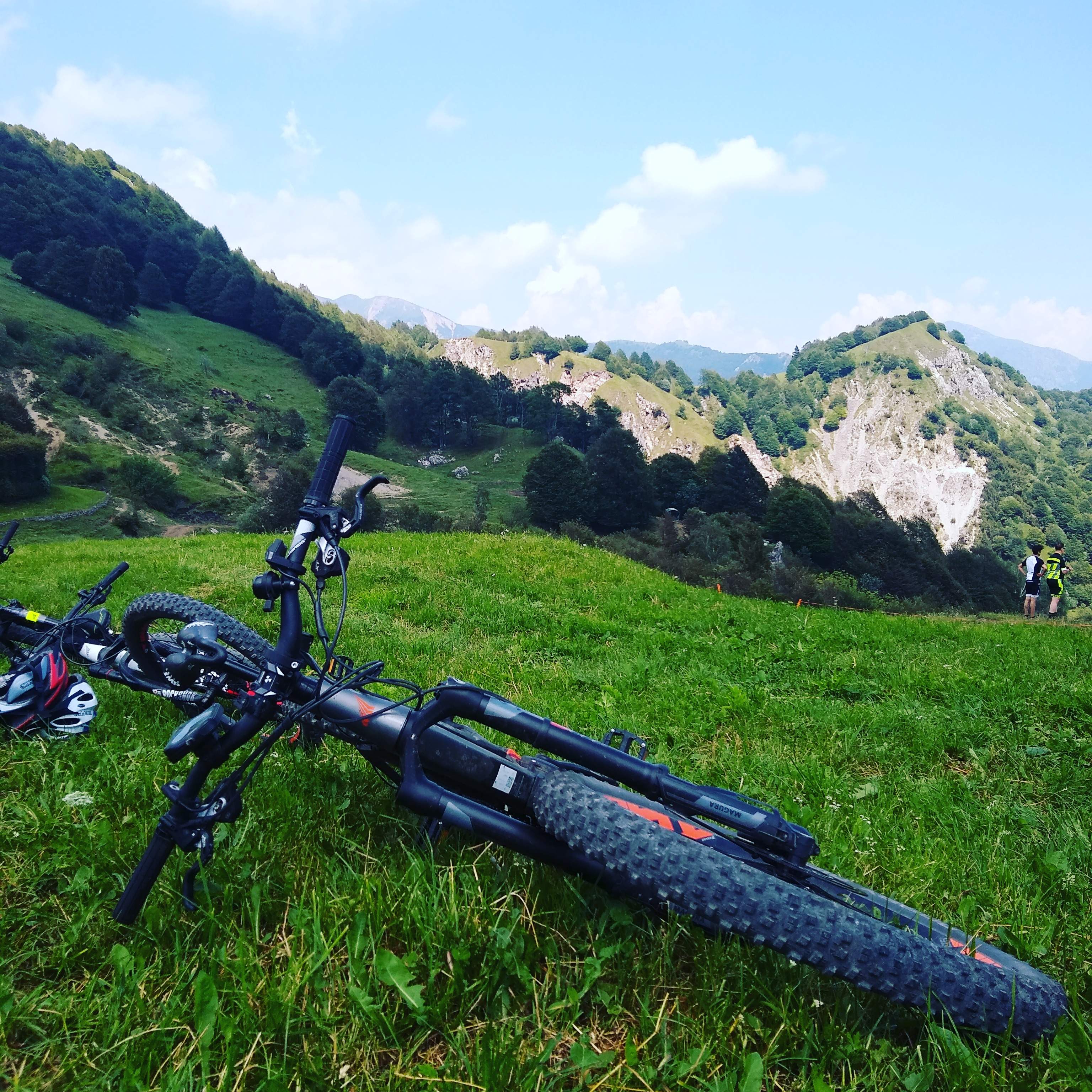 Svart Mountainbike ligger i grönt gräs med berg i bakgrunden