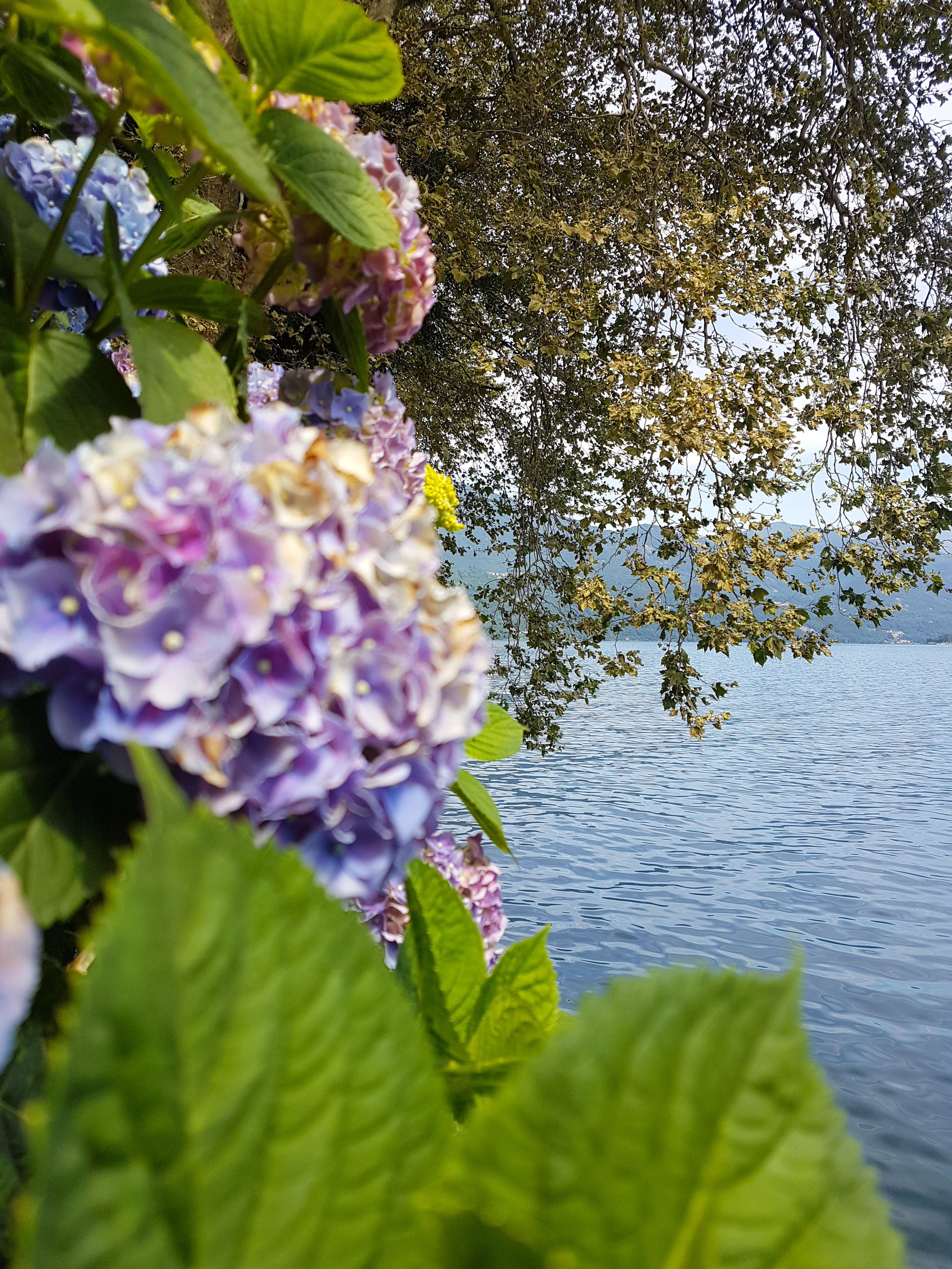 Lago d'Orta - En dold pärla i norra Italien