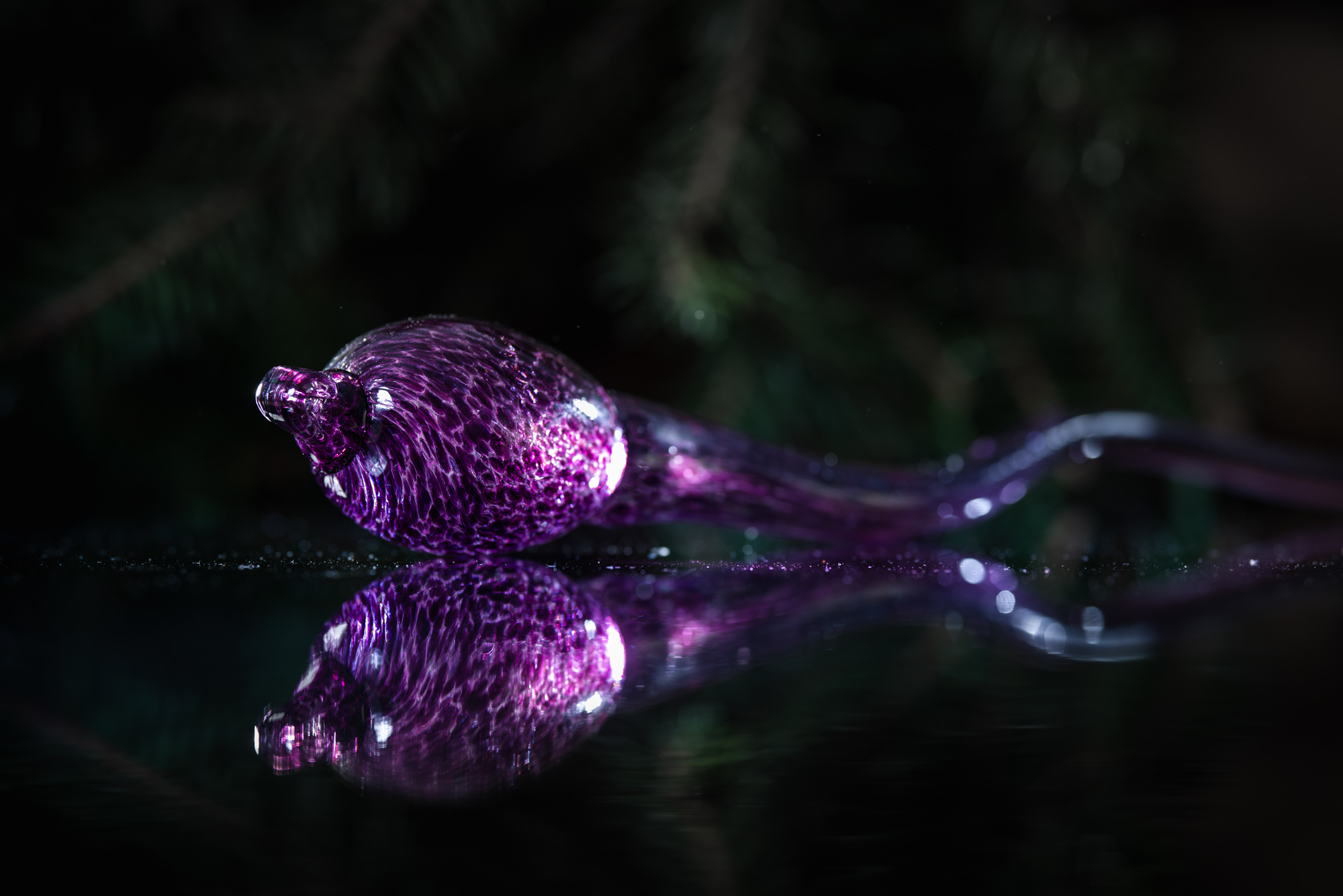 ANOVA Purple Sperm