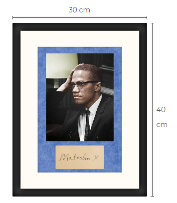 Malcolm X konsttavla storlek 30 cm x 40 cm med ram