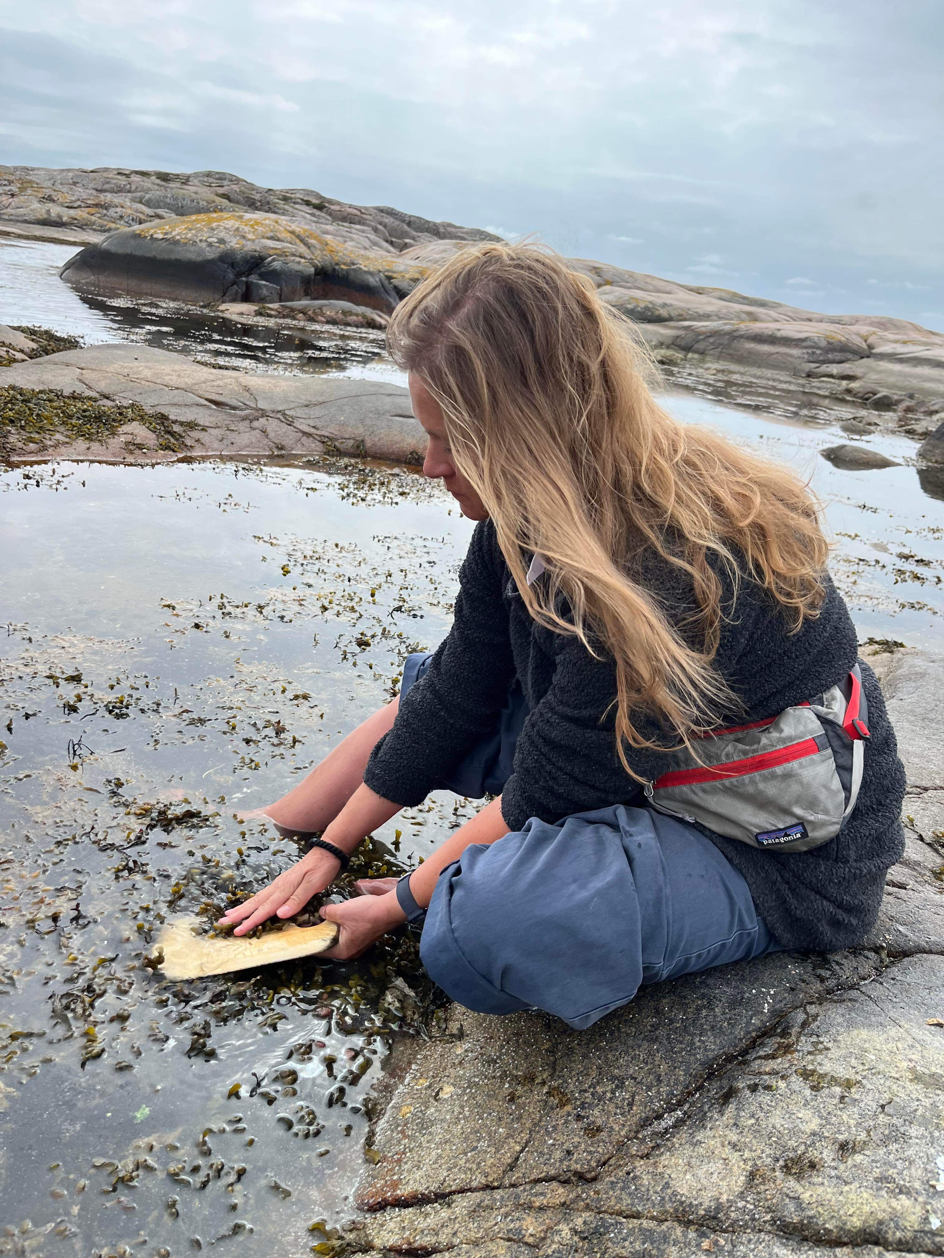 Tångsafari med smakprovslunch