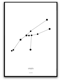 Poster - Oxen